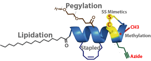 Peptide Modifications Peptide Modifications